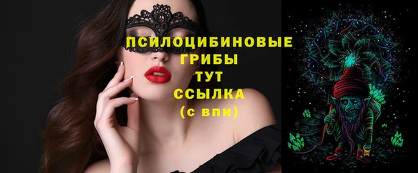 дурь Магас