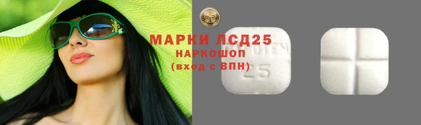 дурь Магас