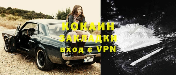 дурь Магас