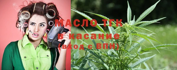 гидра Долгопрудный