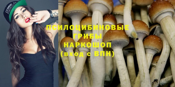 дурь Магас