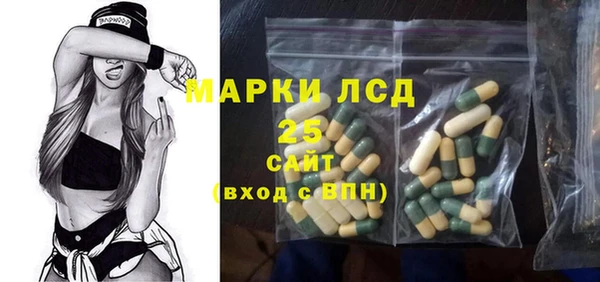 ECSTASY Майский