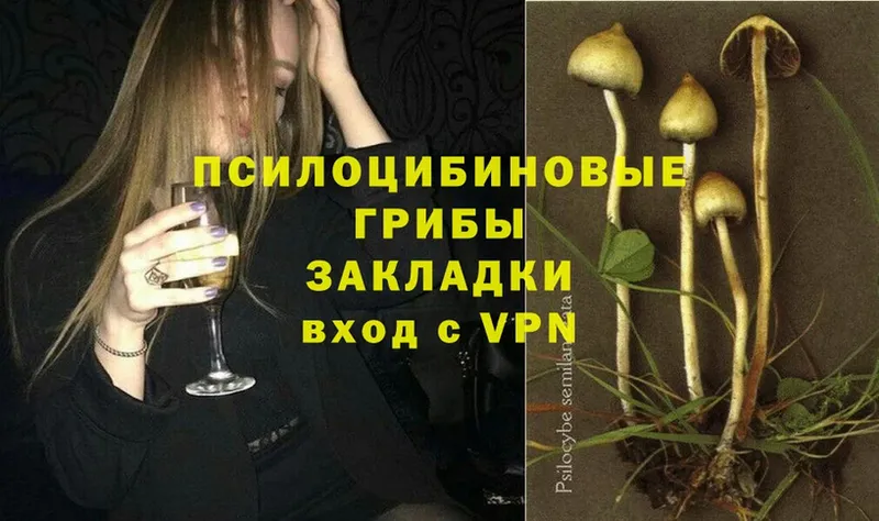 Псилоцибиновые грибы Magic Shrooms  это официальный сайт  Нелидово 