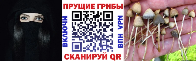 Галлюциногенные грибы прущие грибы  ссылка на мегу как войти  Нелидово 